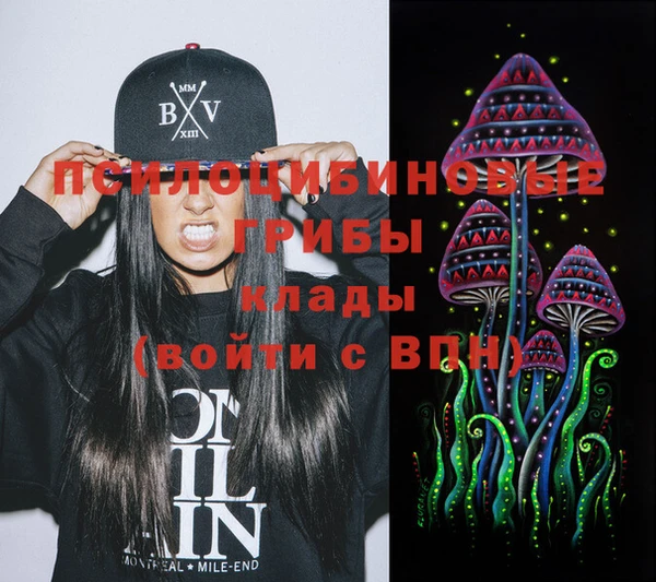 гашик Алзамай