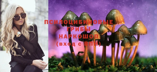 гашик Алзамай