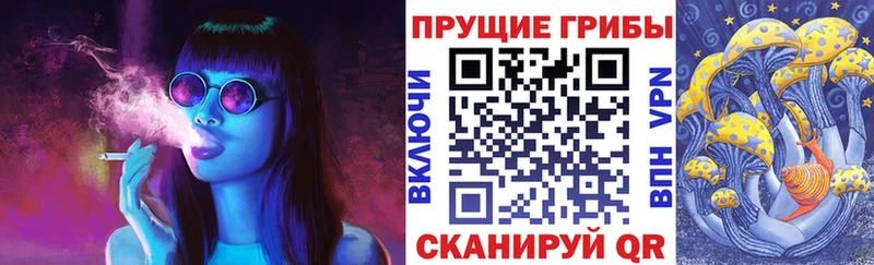 Псилоцибиновые грибы Psilocybe  магазин    Чишмы 